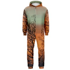 Twilight Sunset Sky Evening Clouds Hooded Jumpsuit (men)