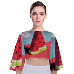 Watermelon Fruit Tie Back Butterfly Sleeve Chiffon Top by Modalart