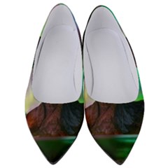 Aurora Borealis Nature Sky Light Women s Low Heels