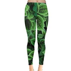 Shanghai Botanical Garden Everyday Leggings  by Pakjumat