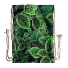 Shanghai Botanical Garden Drawstring Bag (large) by Pakjumat