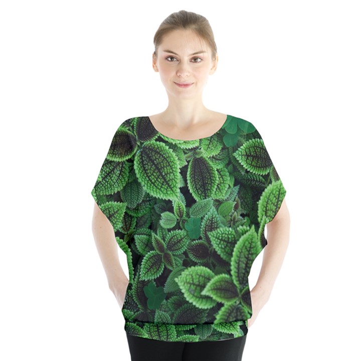 Shanghai Botanical Garden Batwing Chiffon Blouse