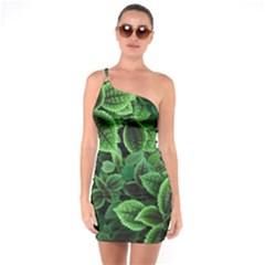 Shanghai Botanical Garden One Shoulder Ring Trim Bodycon Dress by Pakjumat