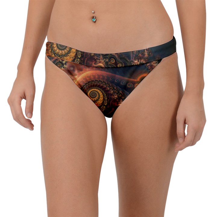 Paisley Abstract Fabric Pattern Floral Art Design Flower Band Bikini Bottoms