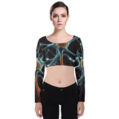 Organism Neon Science Velvet Long Sleeve Crop Top by Pakjumat