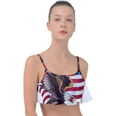 American Eagle Clip Art Frill Bikini Top by Maspions