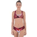 Pattern Structure Light Patterns Criss Cross Bikini Set View1