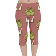 Cactus Pattern Background Texture Velvet Capri Leggings  by Hannah976