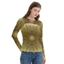 Background Pattern Golden Yellow Women s Cut Out Long Sleeve T-Shirt View3