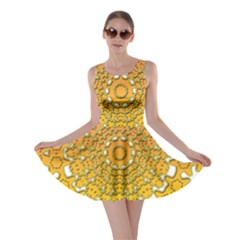 Mandala Background Image Ornament Skater Dress