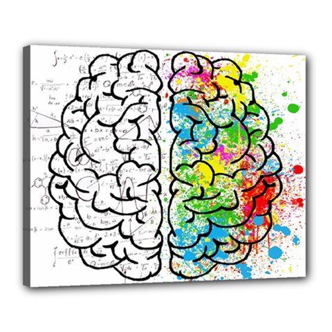 Brain Mind Psychology Idea Drawing Canvas 20  X 16  (stretched) by Grandong