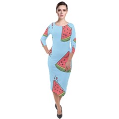 Watermelon Fruit Pattern Tropical Quarter Sleeve Midi Velour Bodycon Dress by Apen