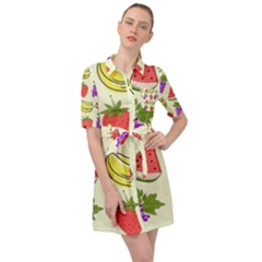 Fruits Pattern Background Food Belted Shirt Dress by Apen