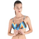 Pattern Triangle Design Repeat Tie Up Cut Bikini Top View1