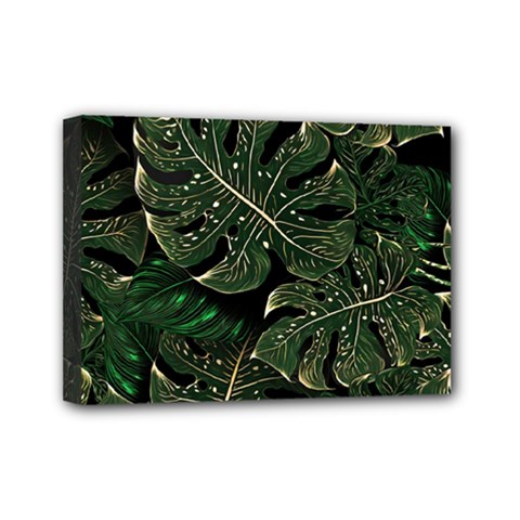 Monstera Plant Tropical Jungle Mini Canvas 7  X 5  (stretched) by Ravend