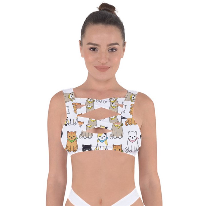 Cat Kitten Seamless Pattern Bandaged Up Bikini Top