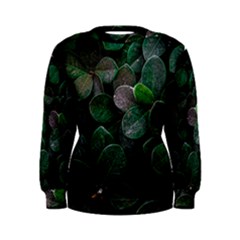 Dark Nature , Nature, Edeg Women s Sweatshirt