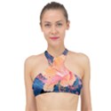 Abstract Art Artistic Bright Colors Contrast Flower Nature Petals Psychedelic High Neck Bikini Top View1