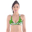 Parrot Hat Cartoon Captain Plunge Bikini Top View1