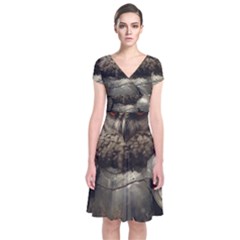 Owl Knight Short Sleeve Front Wrap Dress