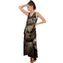 Owl Knight V-Neck Chiffon Maxi Dress View1