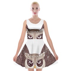 Owl Bird Feathers Velvet Skater Dress