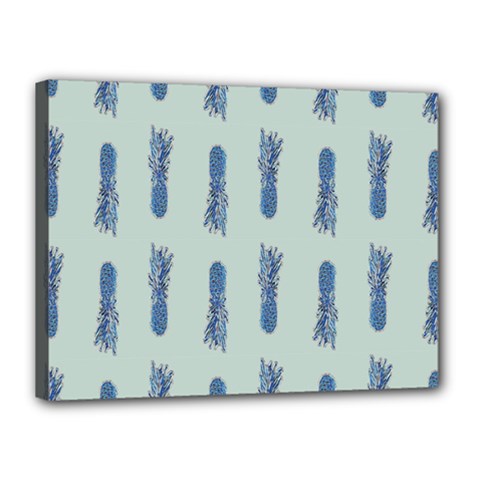 Blue King Pineapple  Canvas 16  X 12  (stretched) by ConteMonfrey