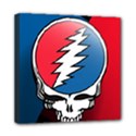 Grateful Dead Big Skull Mini Canvas 8  x 8  (Stretched) View1