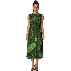 Bacteria Virus Seamless Pattern Inversion Sleeveless Round Neck Midi Dress by Ravend