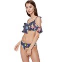 Owl Stars Pattern Background Ruffle Edge Tie Up Bikini Set	 View2