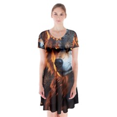 Be Dare For Everything Short Sleeve V-neck Flare Dress by Saikumar