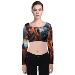 Be Dare For Everything Velvet Long Sleeve Crop Top by Saikumar