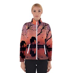 Elephant Landscape Tree Africa Sunset Safari Wild Women s Bomber Jacket