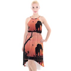 Elephant Landscape Tree Africa Sunset Safari Wild High-low Halter Chiffon Dress 