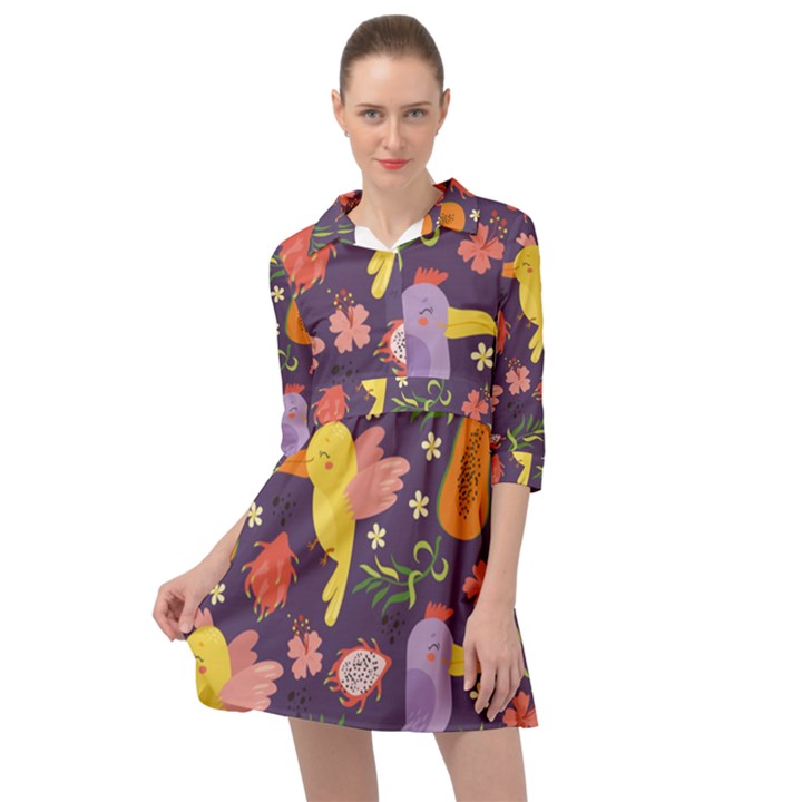 Exotic Seamless Pattern With Parrots Fruits Mini Skater Shirt Dress