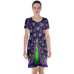 Peacock Bird Color Short Sleeve Nightdress by Cendanart