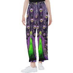 Peacock Bird Color Women s Pants  by Cendanart