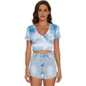 Blue-flower V-Neck Crop Top View1