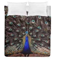 Peacock Duvet Cover Double Side (queen Size) by Ket1n9