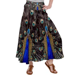 Peacock Women s Satin Palazzo Pants by Ket1n9