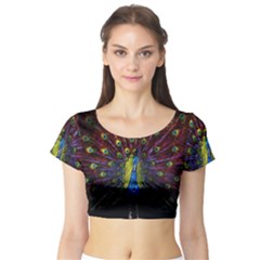 Beautiful Peacock Feather Short Sleeve Crop Top by Ket1n9