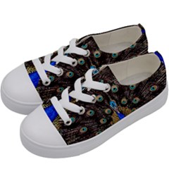 Peacock Kids  Low Top Canvas Sneakers by Ket1n9