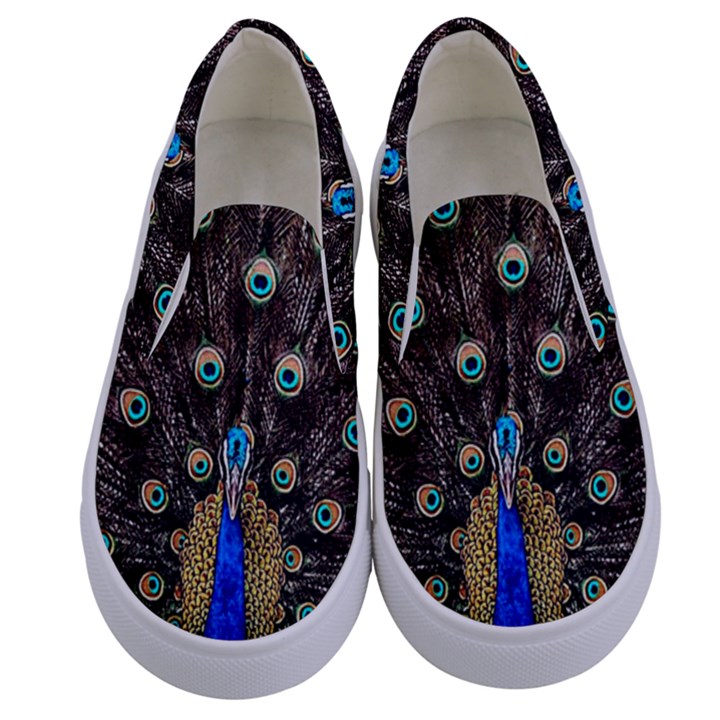 Peacock Kids  Canvas Slip Ons