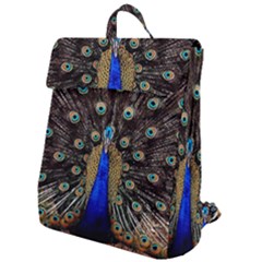 Peacock Flap Top Backpack by Ket1n9