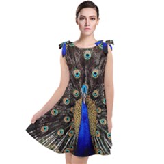 Peacock Tie Up Tunic Dress by Ket1n9