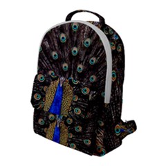 Peacock Flap Pocket Backpack (large) by Ket1n9