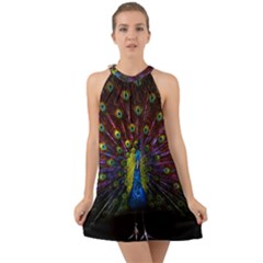 Beautiful Peacock Feather Halter Tie Back Chiffon Dress by Ket1n9