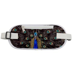 Peacock Rounded Waist Pouch by Ket1n9