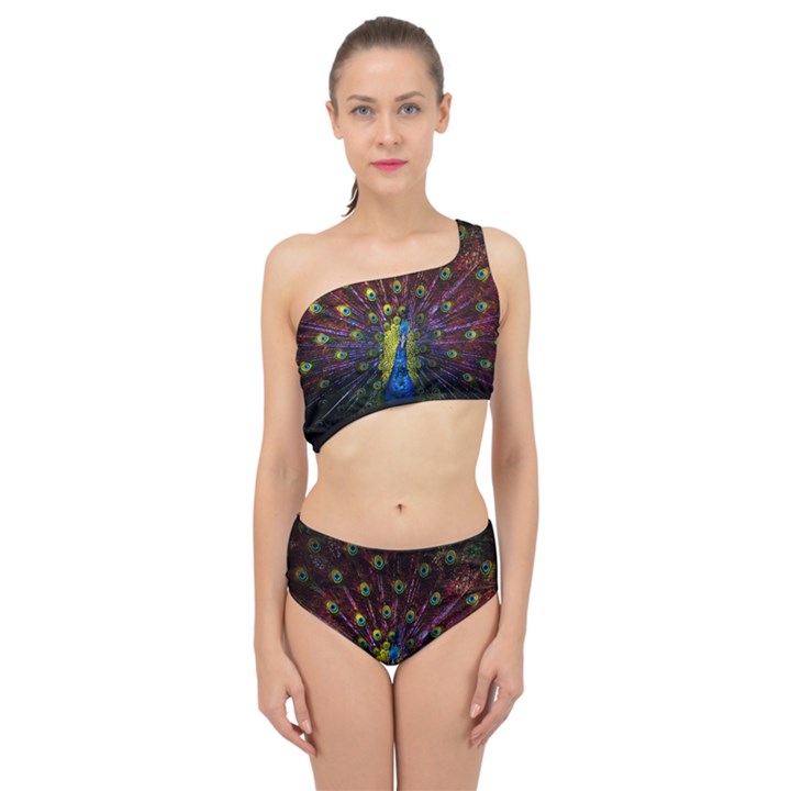 Beautiful Peacock Feather Spliced Up Two Piece Swimsuit