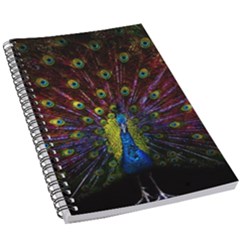 Beautiful Peacock Feather 5 5  X 8 5  Notebook by Ket1n9